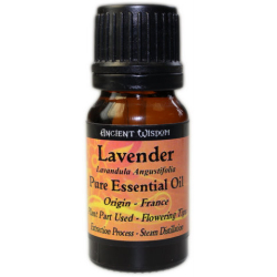Essential Oil Lavender